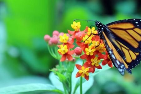 Amazon Legends: 4-Day / 3-Night Eco-Lodge Adventure