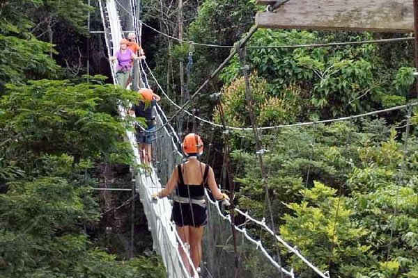 03:00 pm Amazon Canopy Walk & Zipline
