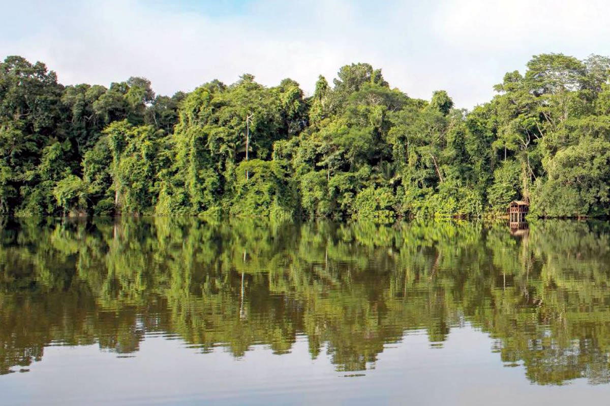 Amazon & Andes Expeditions
