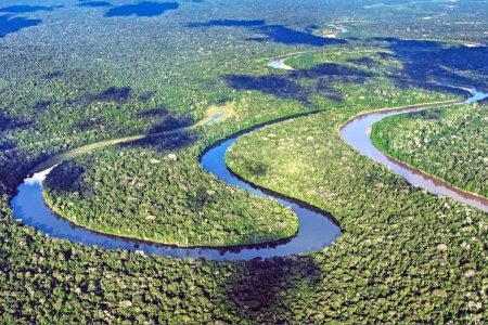 Yanayacu Selva Misteriosa – Full Day Adventure